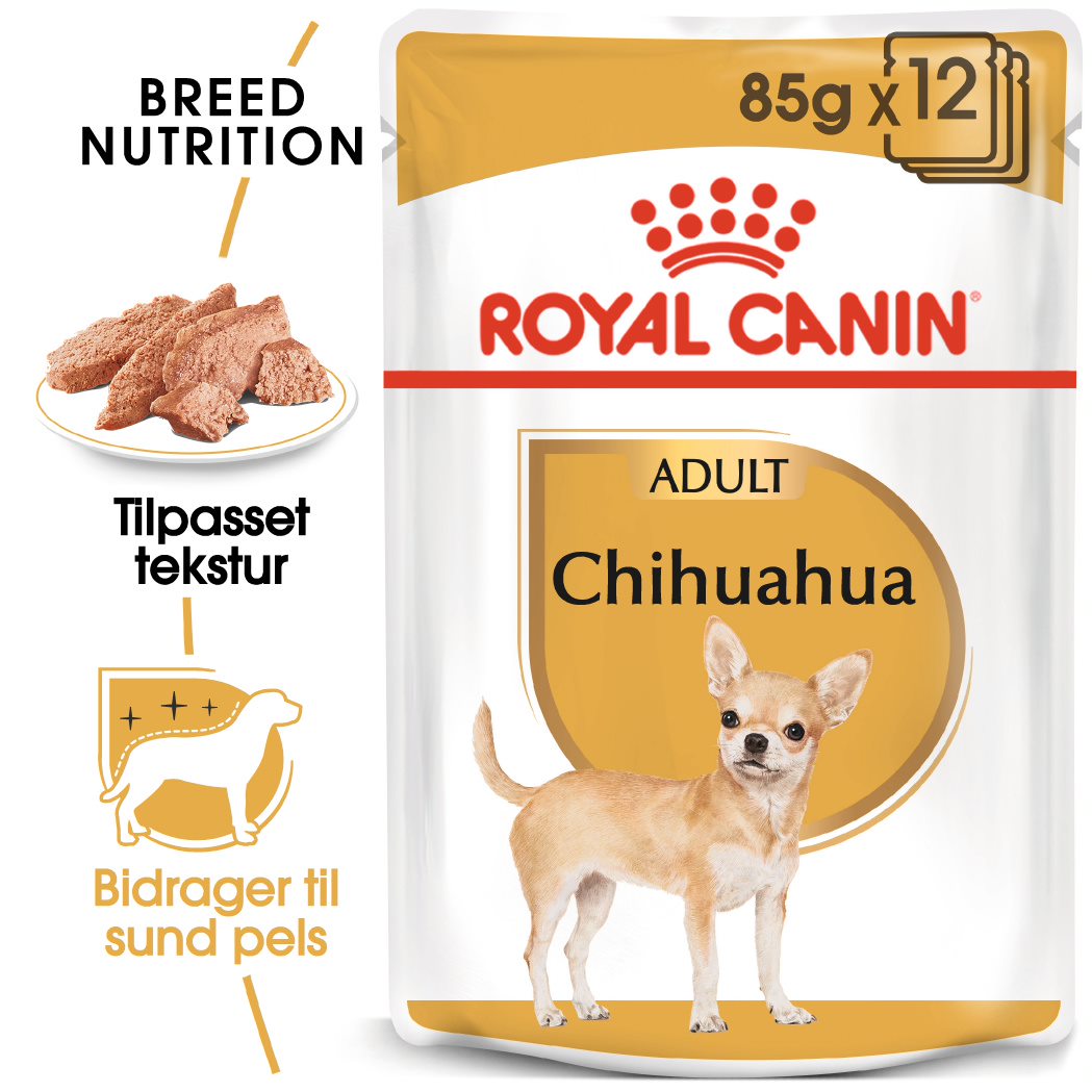 Adult, menuboks pouch Chihuahua 12x85 g