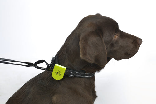 USB lygte Blinki Magnet optil 300 m synlighed gul