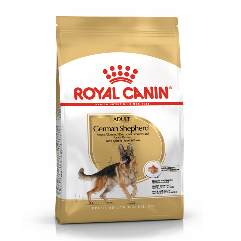 Adult Schæfer 11 kg