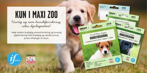 Hundesygeforsikring Racer C