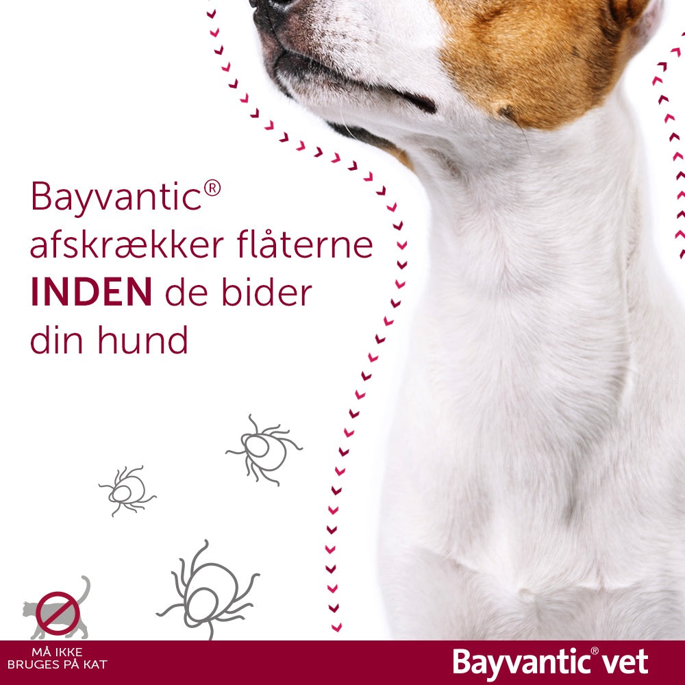 Flåt- og loppemiddel 40-60 kg 4x6,0 ml hund