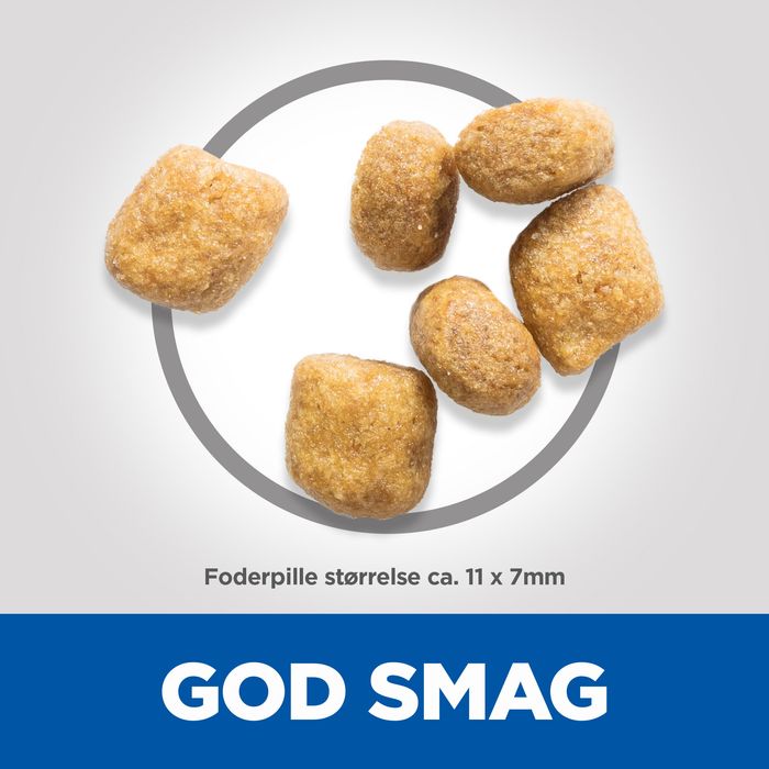 Adult Oral kylling 7 kg