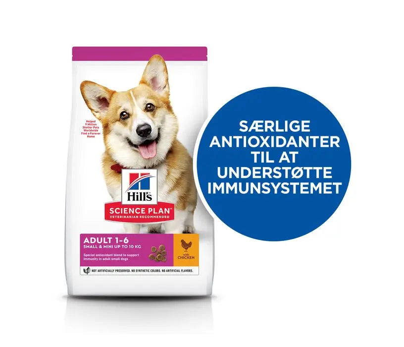 Adult Small & Mini kylling 6 kg - Maxi Zoo Danmark