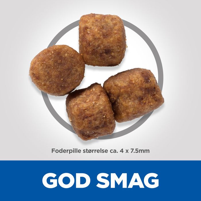 Adult Healthy Mob. Small & Mini kylling 1,5 kg