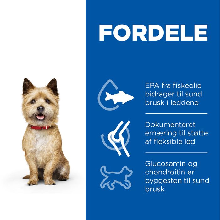 Adult Healthy Mob. Small & Mini kylling 1,5 kg