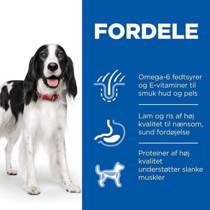 Adult Medium lam og ris 2,5 kg