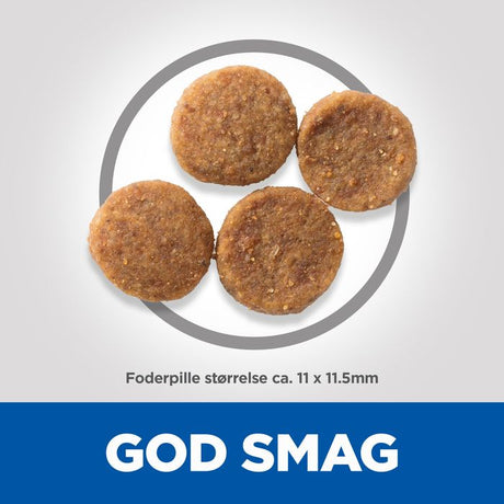 Adult Medium lam og ris 14 kg