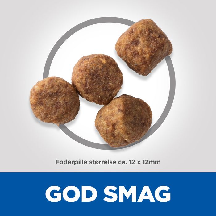 Mature Medium kylling 14 kg