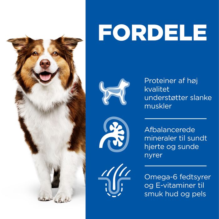 Mature Medium kylling 14 kg