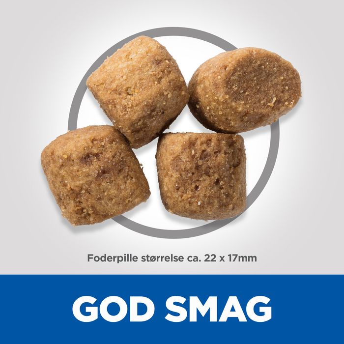 Adult Oral Medium kylling 2 kg