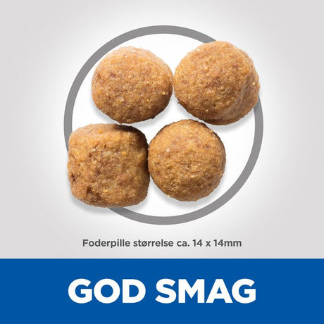 Adult Large Breed lam og ris 14 kg