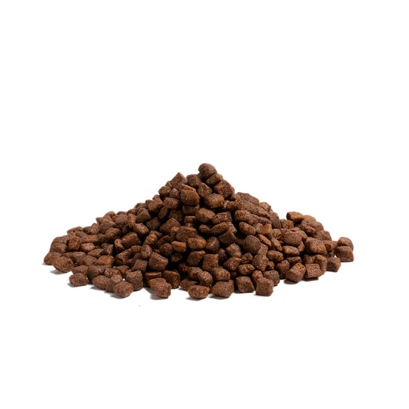 Adult Highland Living Small HL kalkun,laks,okse,fjervildt 2,5kg