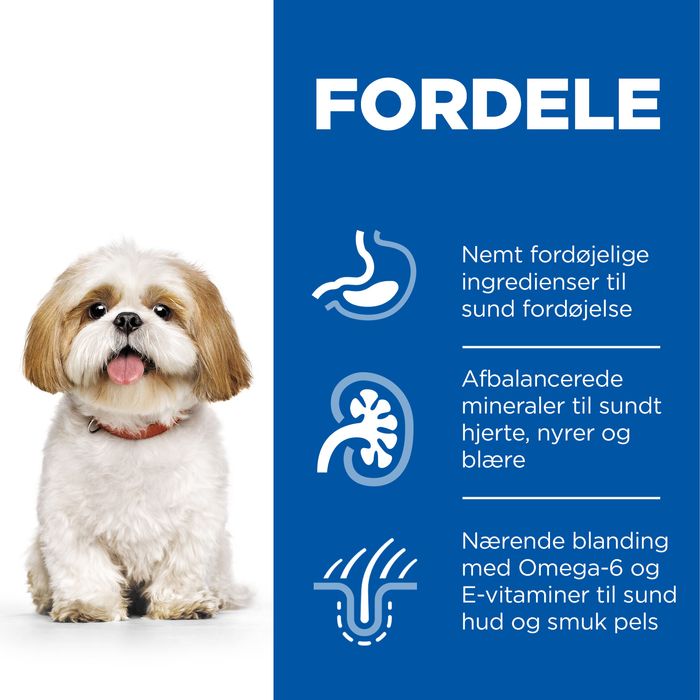 Mature Small & Mini kylling 1,5 kg