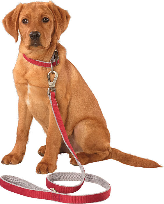 Line L 120x2,5x1,2 cm rød