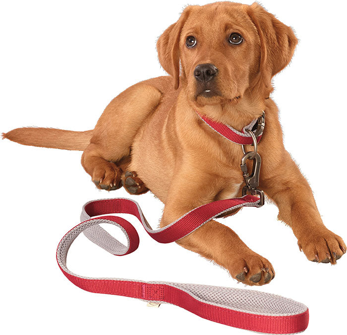 Line M 120x2x1 cm rød