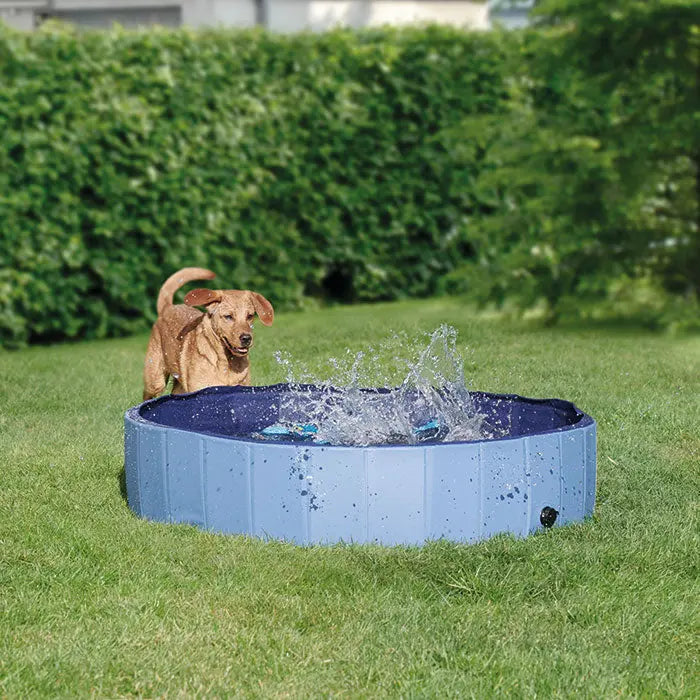 Badebassin Uni 80x20 cm - Maxi Zoo Danmark