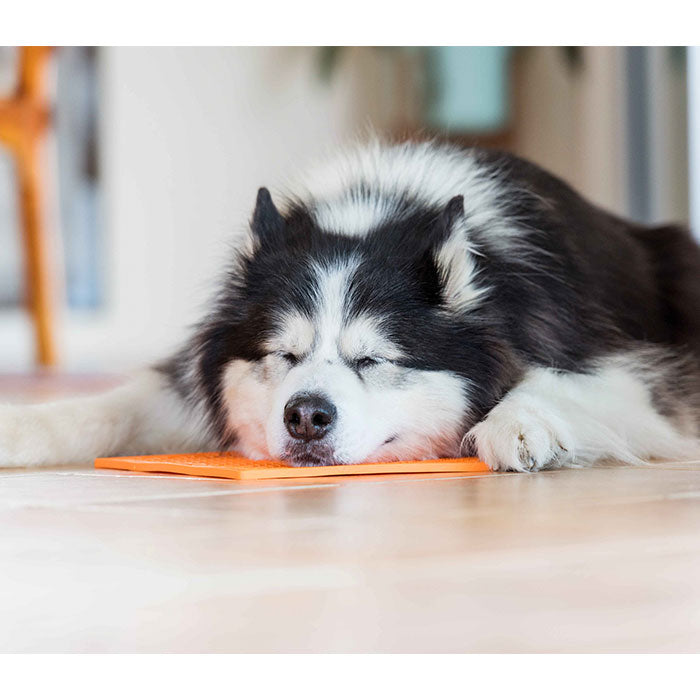 LickiMat Orginal 20 cm orange