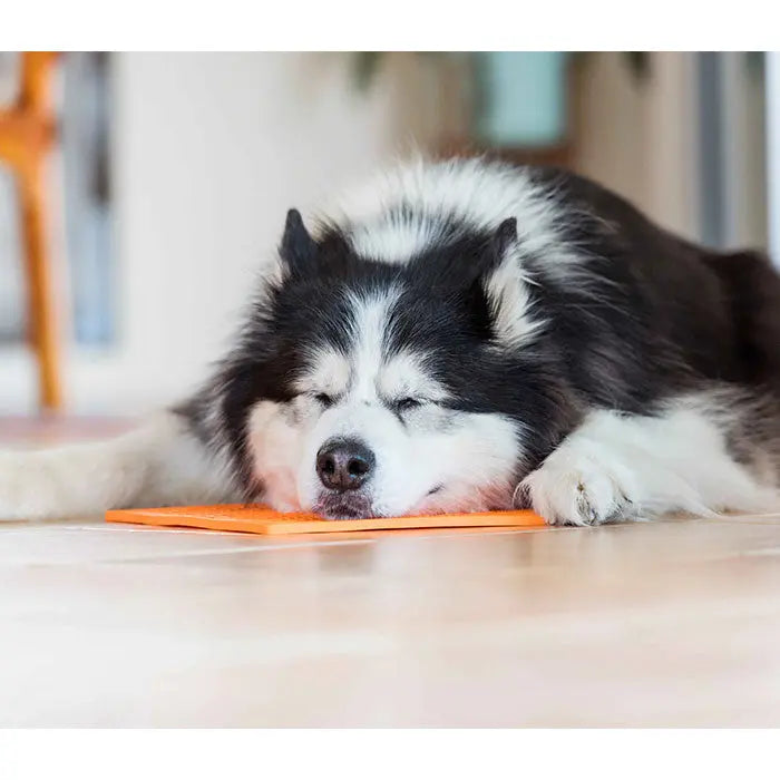 LickiMat Orginal 20 cm orange - Maxi Zoo Danmark