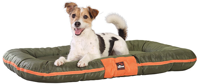 Hundepude Mountaineer Grøn