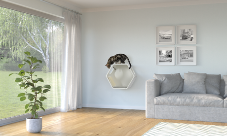 Kradsehule Scratch & Relax til væg