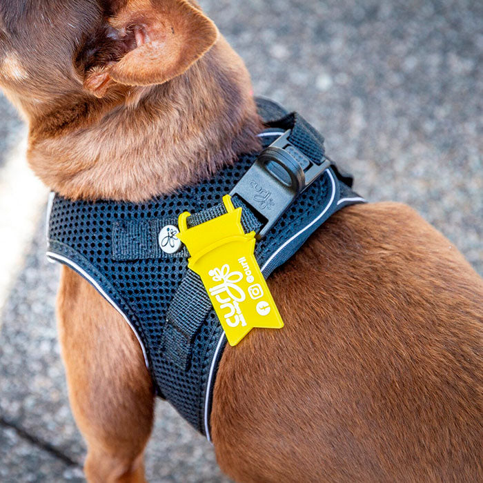 Gul sløjfe hold afstand