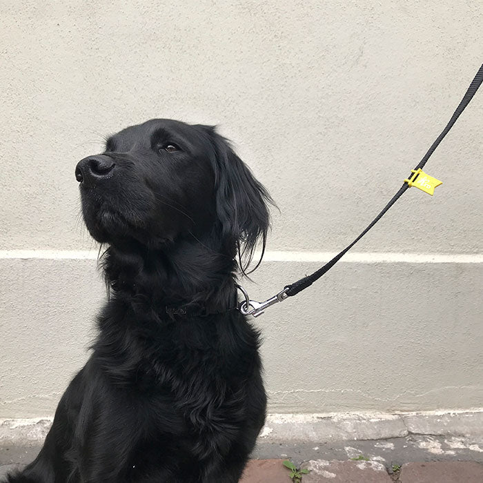 Gul sløjfe hold afstand