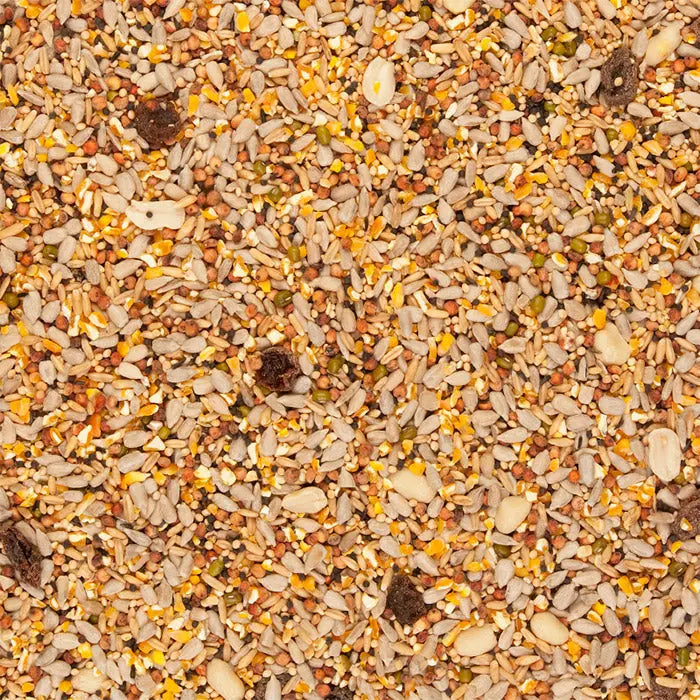 Vildfuglefoder Menu Nature terrance mix 10 kg - Maxi Zoo Danmark