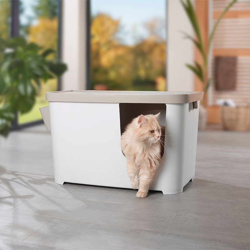 Kattetoilet XXL Titan75,5x44,8x44,8 cm