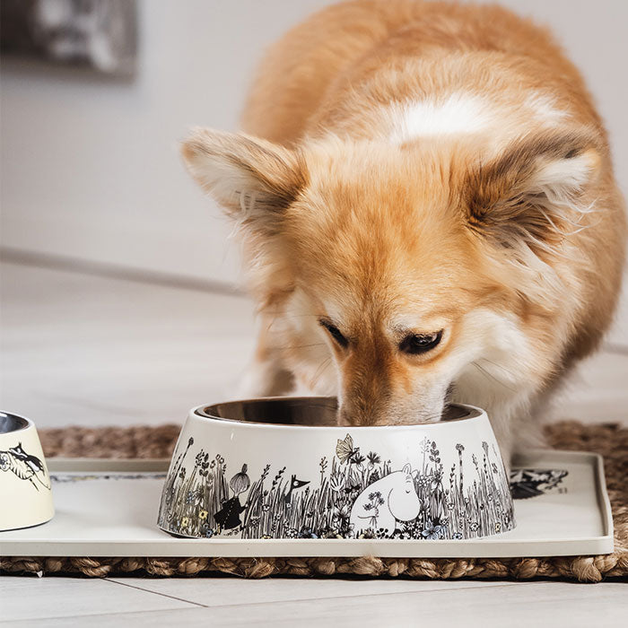 Melamin skål Moomin Pets M 325 ml gul