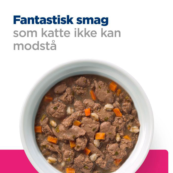 Diætetisk fuldfoder Gastrointestinal Biome 82 g