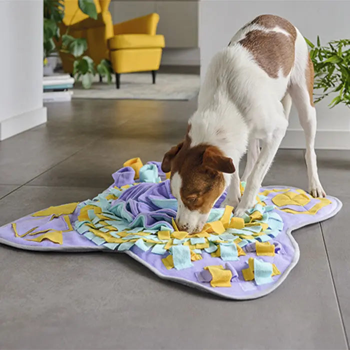 Snusetæppe 44x33x6 cm - Maxi Zoo Danmark