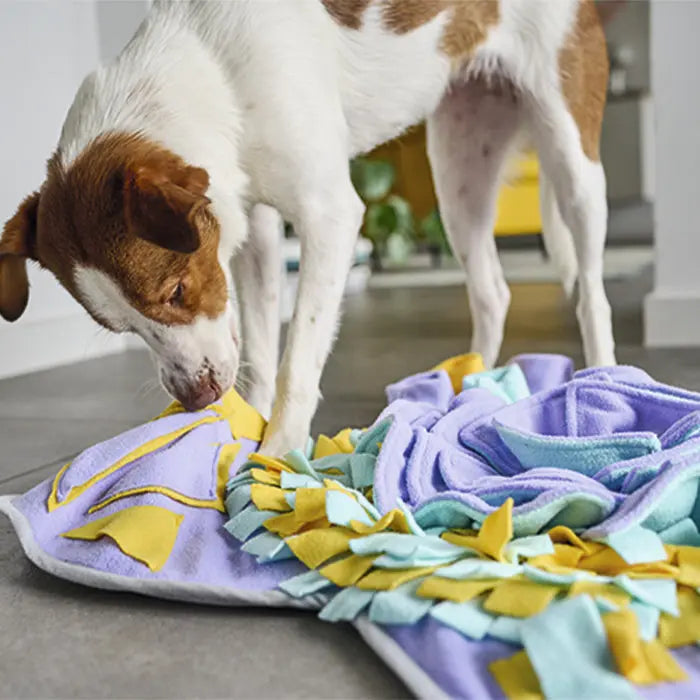 Snusetæppe 44x33x6 cm - Maxi Zoo Danmark