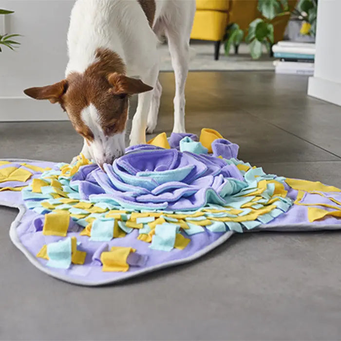 Snusetæppe 44x33x6 cm - Maxi Zoo Danmark