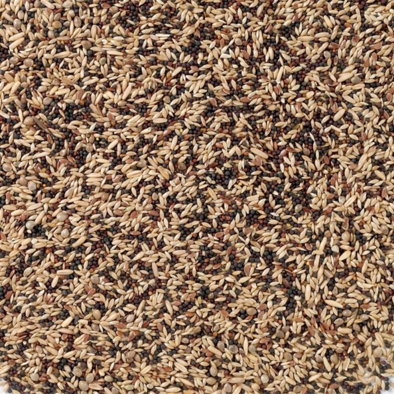 Kanarieblanding15 kg - Maxi Zoo Danmark
