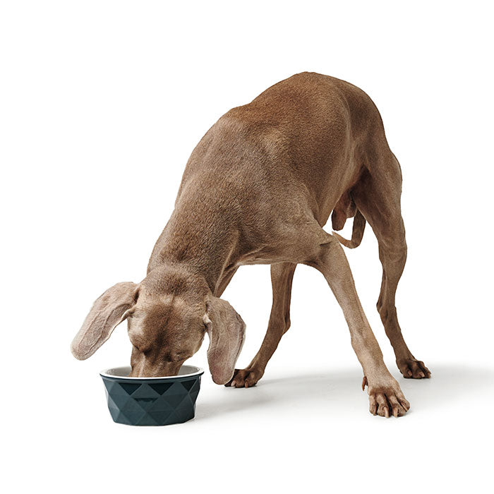 Keramik Skål Eiby Blå