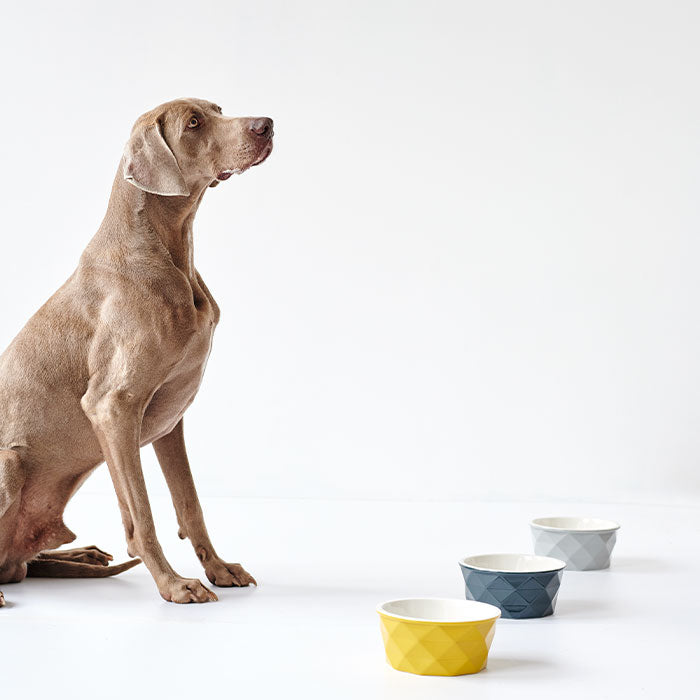 Keramik Skål Eiby Gul