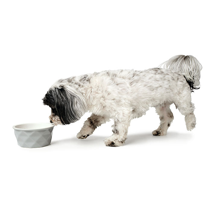 Keramik Skål Eiby Grå