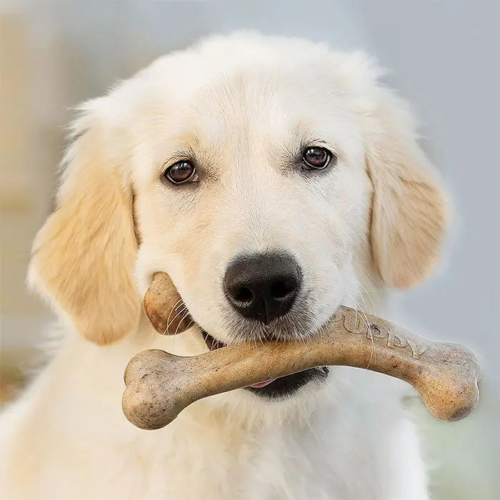 Puppy Wishbone bacon medium - Maxi Zoo Danmark