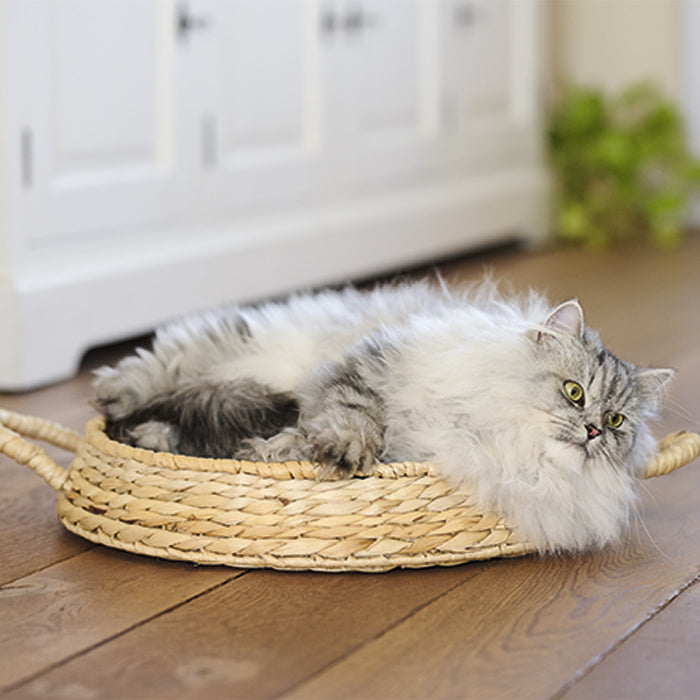 Katteseng Bananblad ø 45 x 8 cm