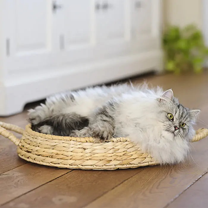 Katteseng Bananblad ø 45 x 8 cm - Maxi Zoo Danmark