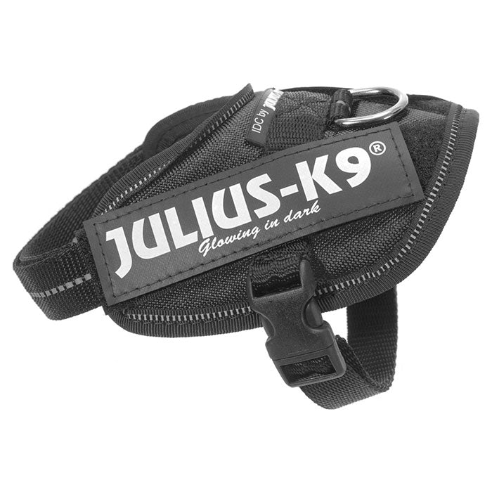 Julius K9 Power-SeleIDC baby 1/xS sort