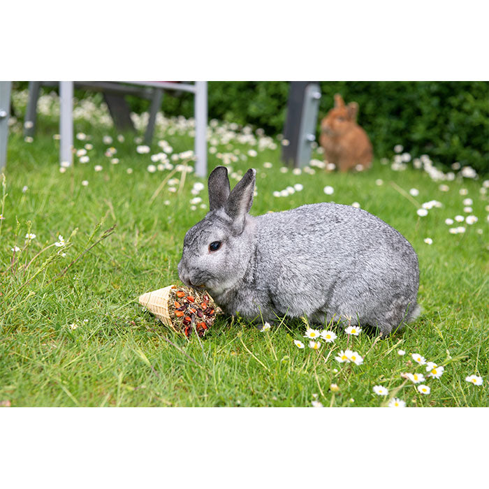 Gnaversnack Celebretion waffelcrossaint 60 g