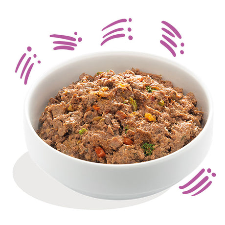 Adult Vildt & And med grønt 300g