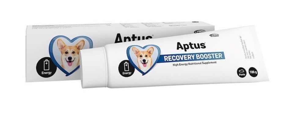 Recobooster Dog 100 g