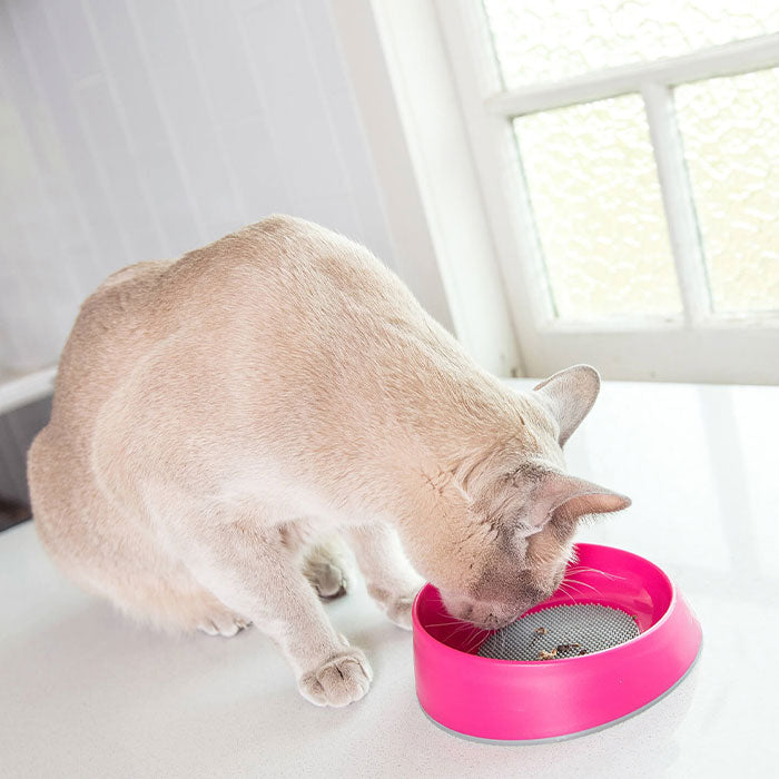 LickiMat OH skål Kat ø15x4 cm pink