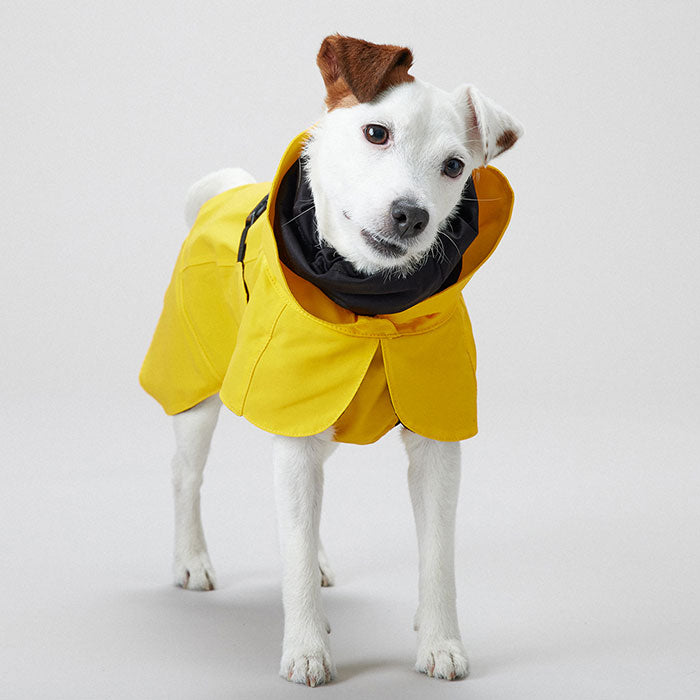 Regnjakke Lite Visibility 35 cm gul - Maxi Zoo Danmark