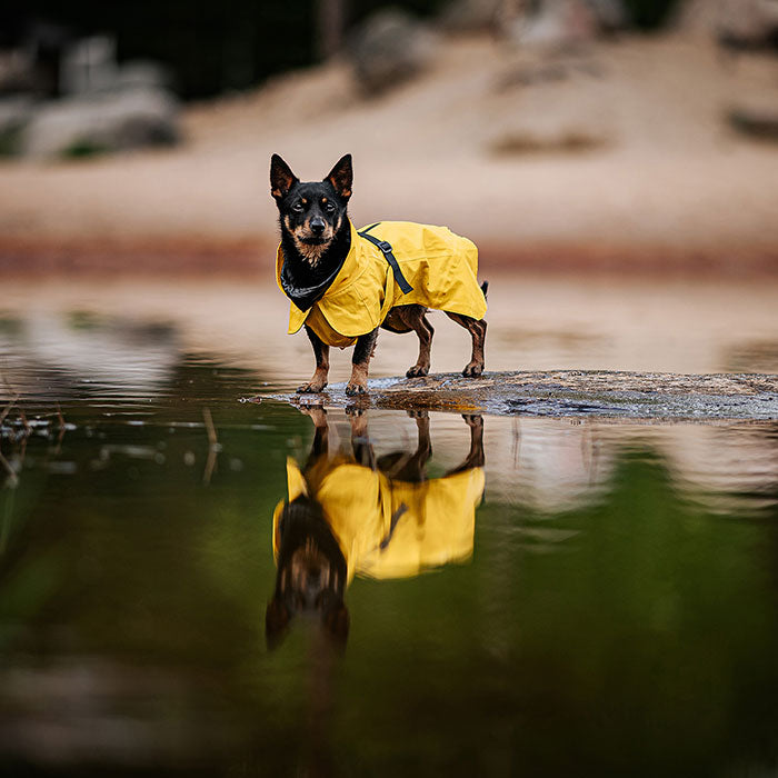 Regnjakke Lite Visibility 45 cm gul - Maxi Zoo Danmark