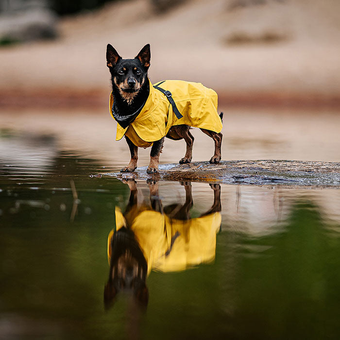 Regnjakke Lite Visibility 55 cm gul - Maxi Zoo Danmark