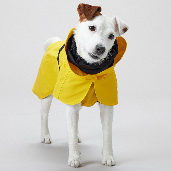 Regnjakke Lite Visibility 55 cm gul - Maxi Zoo Danmark