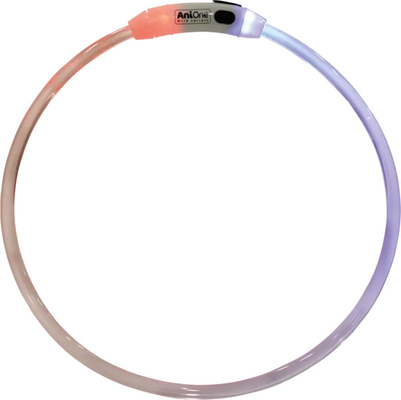 Lyshalsbånd Illuminated 65 cm multifarvet - Maxi Zoo Danmark